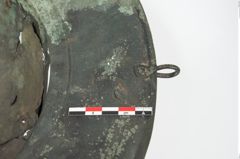 Foto von Bronzebreitrandfußschale (NHMW-PRAE-025437)